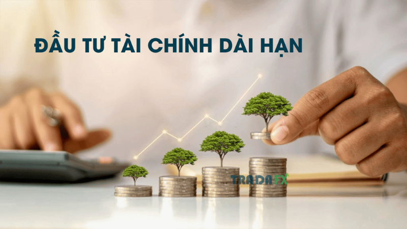 Đầu tư dài hạn