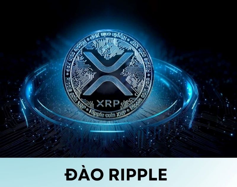 Đào Ripple