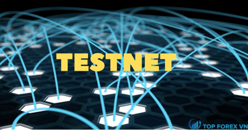 Tại sao Testnet lại quan trọng?