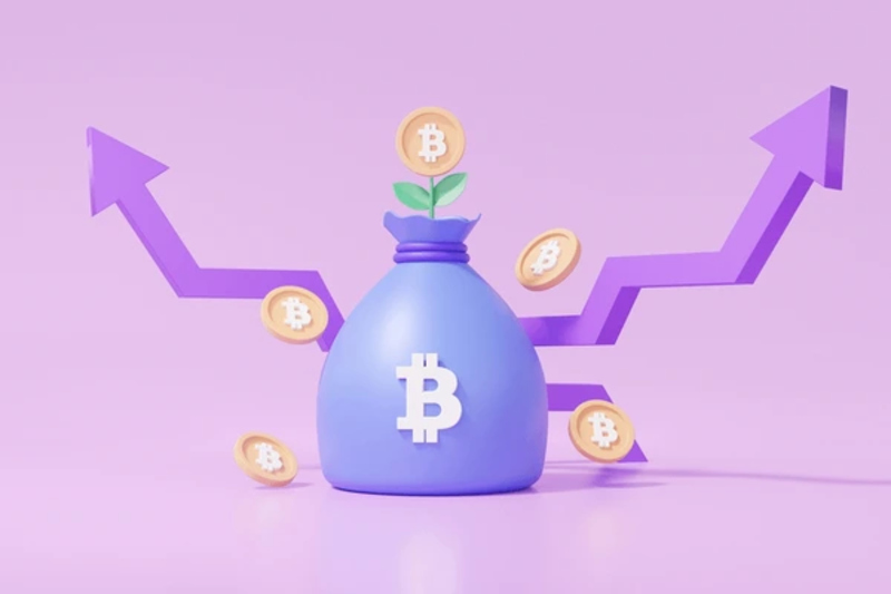 Cách mua và lưu trữ Purple Bitcoin