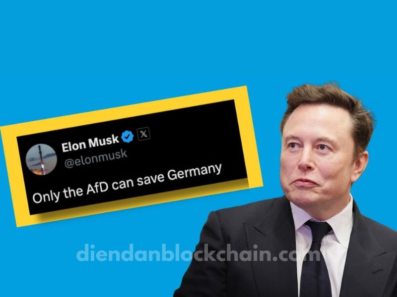 Đức cáo buộc Elon Musk, đồng chủ tịch DOGE, can thiệp bầu cử