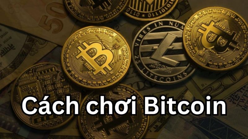 Hướng dẫn cách chơi tiền ảo Bitcoin cho người mới