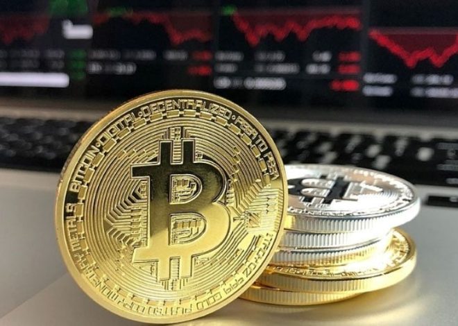 Bitcoin Halving là gì? Tìm hiểu cơ chế giảm phát độc đáo của Bitcoin