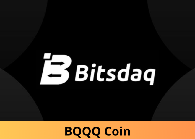 BQQQ Coin: Sàn giao dịch với tiềm năng tăng trưởng