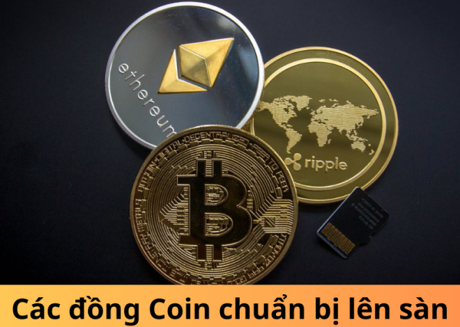 Hướng dẫn định giá các đồng Coin chuẩn bị lên sàn