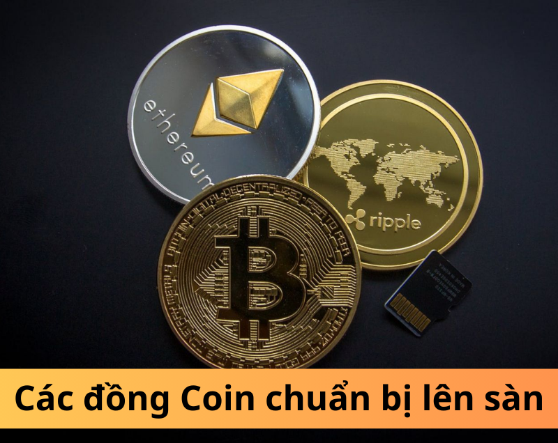 Hướng dẫn định giá các đồng Coin chuẩn bị lên sàn