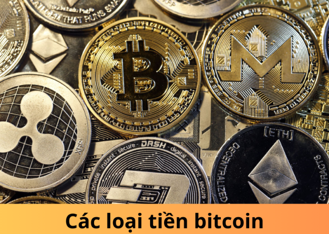 Các loại tiền Bitcoin: Khám phá tiềm năng đầu tư!