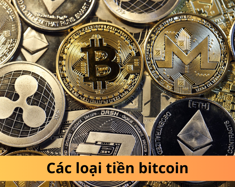 Các loại tiền Bitcoin: Khám phá tiềm năng đầu tư!