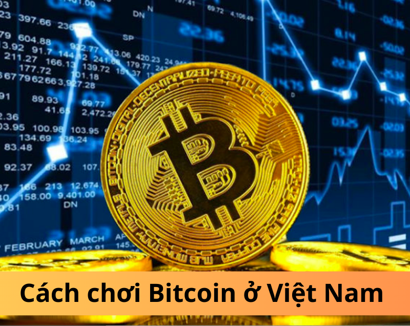 Hướng dẫn cách chơi Bitcoin ở Việt Nam cho người mới bắt đầu