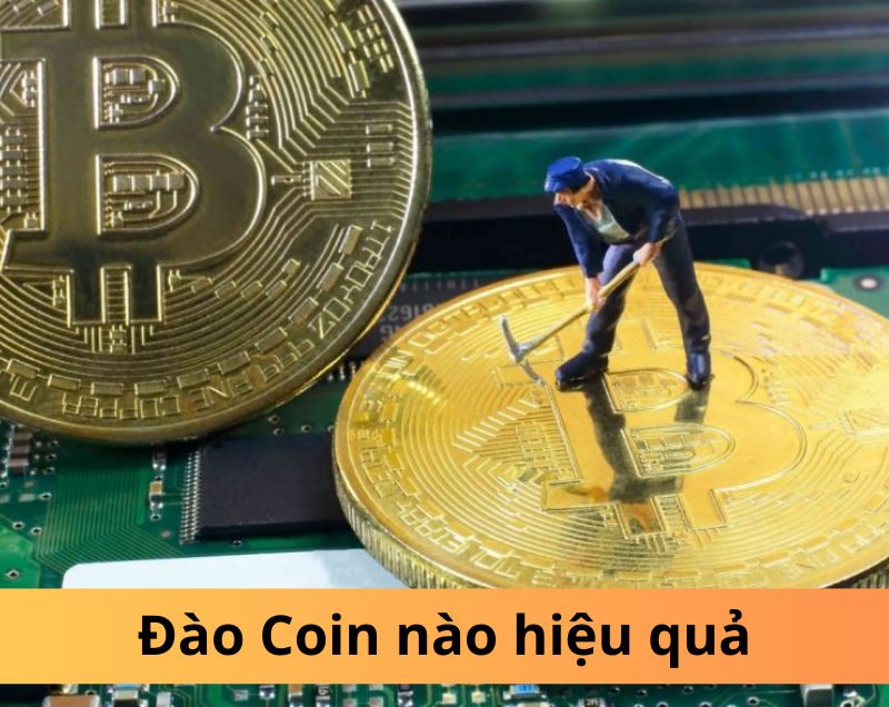 Đào Coin nào hiệu quả nhất hiện nay?