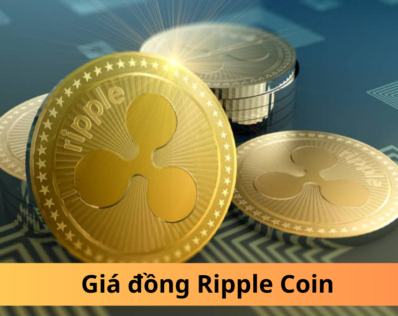 XRP: Tiềm năng tăng trưởng giá đồng Ripple Coin