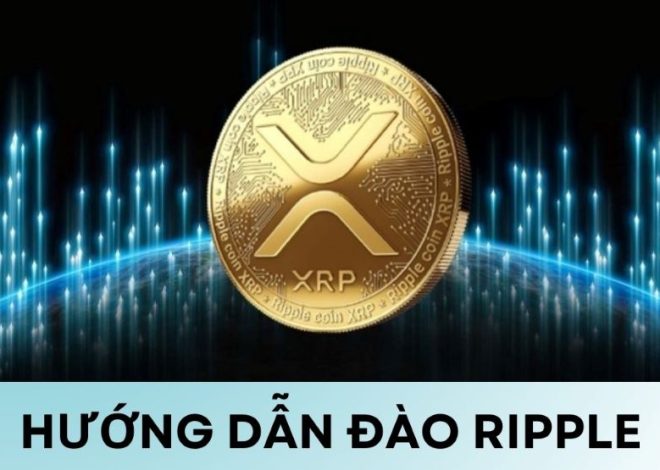 Hướng dẫn đào Ripple: Giải mã bí ẩn đằng sau đồng XRP