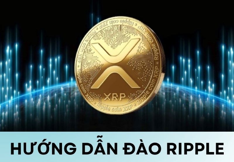 Hướng dẫn đào Ripple: Giải mã bí ẩn đằng sau đồng XRP