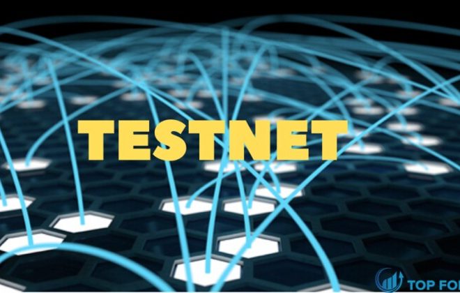 Testnet là gì? Cẩm nang toàn diện cho nhà đầu tư thông thái