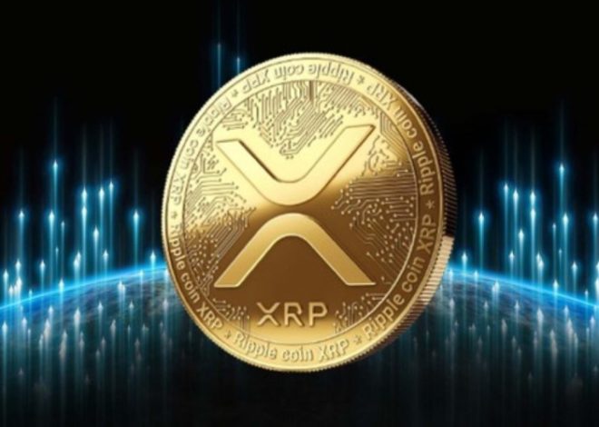 XRP Ledger là gì? Khám phá công nghệ Blockchain