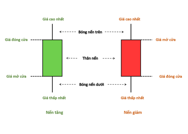 Cách xem nến Trade Coin hiệu quả cho newbie