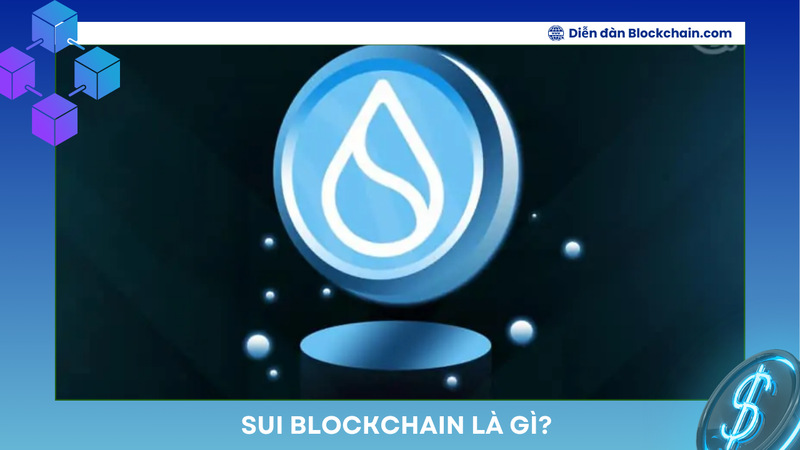 Sui Blockchain là gì? Tìm hiểu nền tảng Blockchain Layer-1