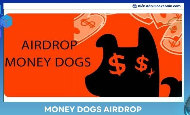 Money Dogs Airdrop – Bứt phá thời cơ trong Blockchain Gaming