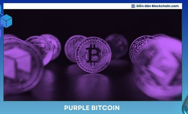 Purple Bitcoin là gì? Tìm hiểu tiềm năng và ứng dụng