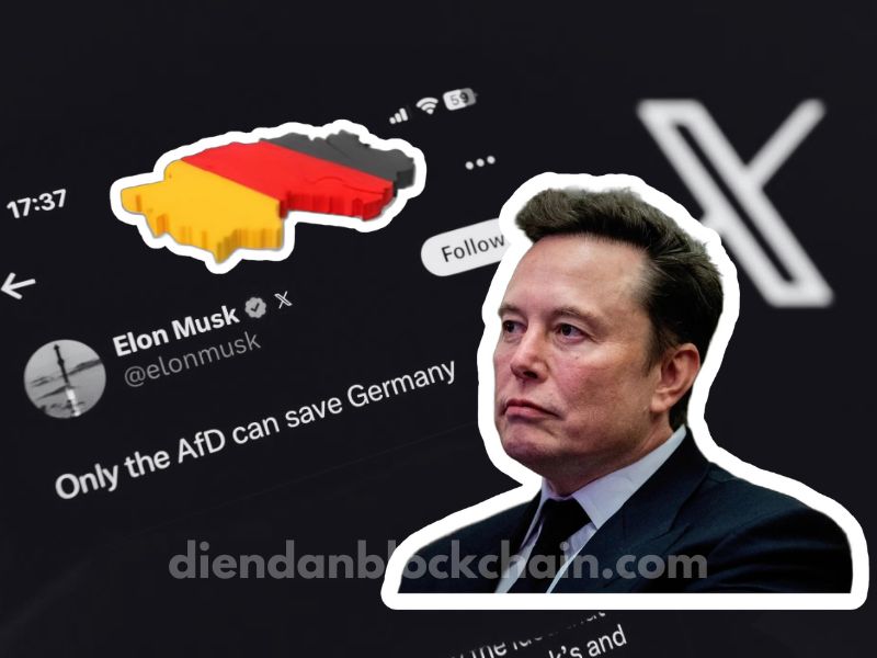 Đức cáo buộc Elon Musk, đồng chủ tịch DOGE, can thiệp bầu cử