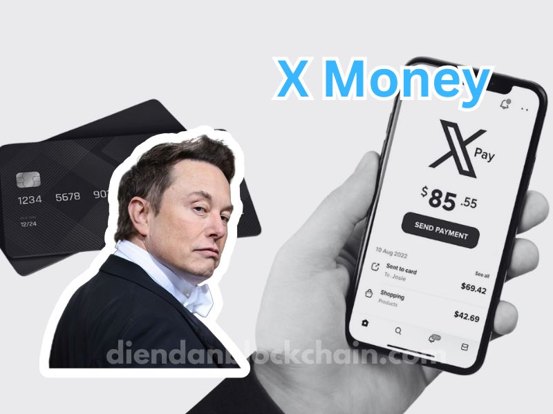 Hệ thống thanh toán X Money của Elon Musk ra mắt năm nay: Liệu tiền mã hóa sẽ được chấp nhận?