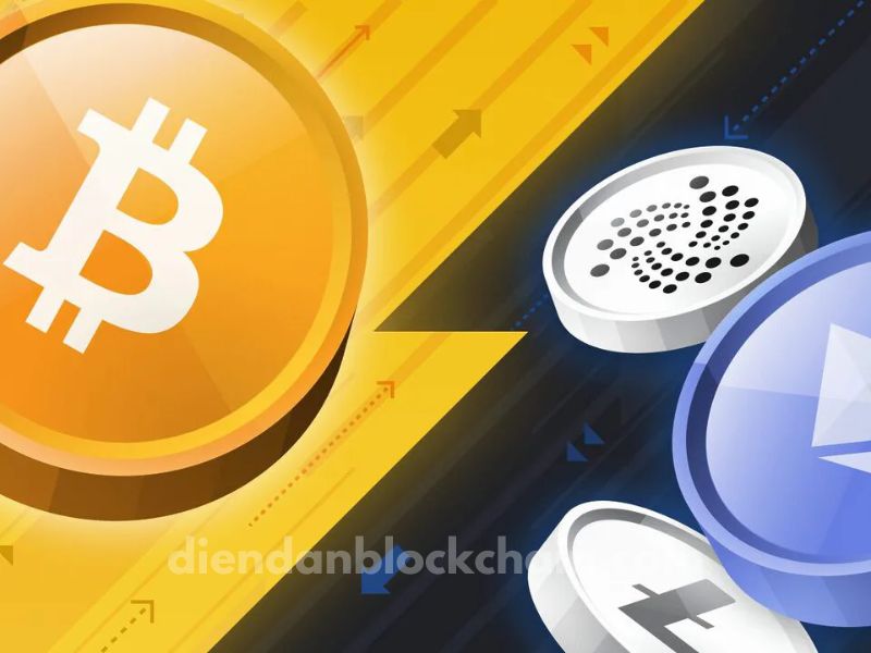 Bitcoin Tăng Vọt Lên $104K, Chỉ Số Altcoin Season Giảm Xuống 25
