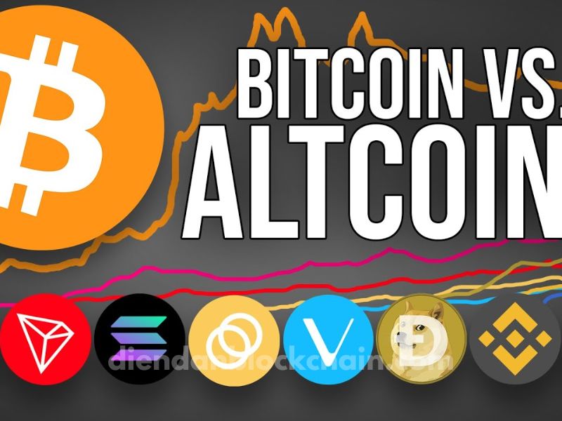 Bitcoin Tăng Vọt Lên $104K, Chỉ Số Altcoin Season Giảm Xuống 25