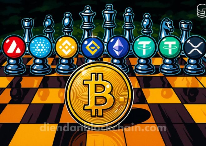 Bitcoin Tăng Vọt Lên $104K, Chỉ Số Altcoin Season Giảm Xuống 25: Điều Gì Đang Xảy Ra?